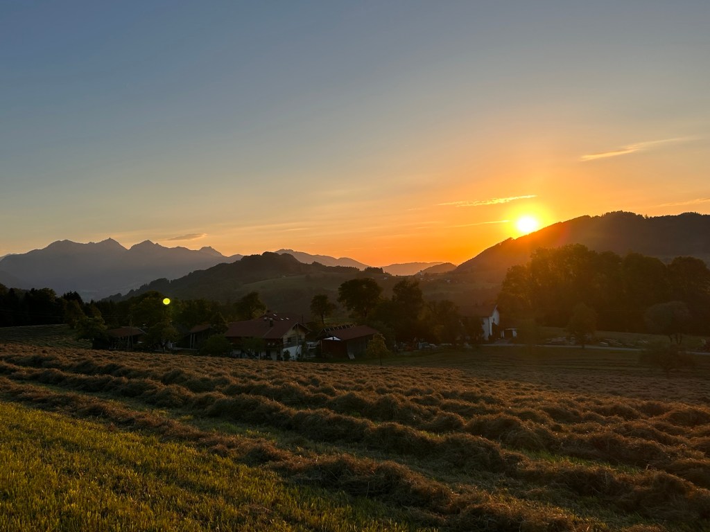 Abbott Diabetes Care v. Sinocare [2025] EWHC&nbsp;206