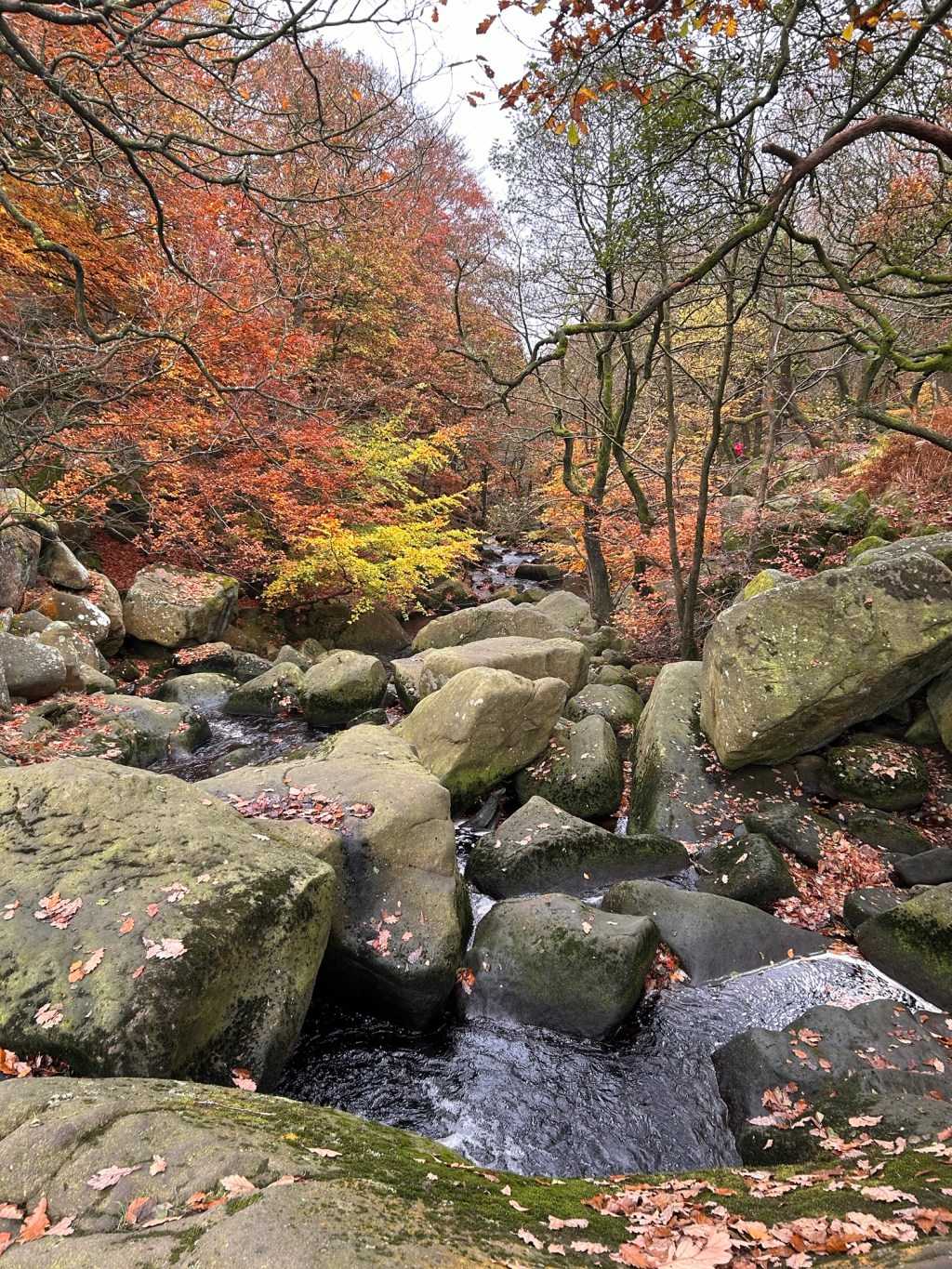 English Cases (24.02.25 –&nbsp;28.02.25)